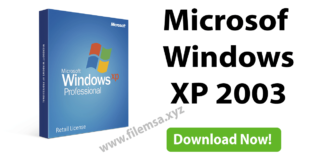 Windows XP Feature Image